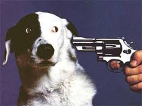 If the dog barking, angrily he gave them death.