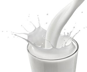 nestle milk supply ban in moga, punjab