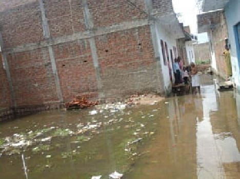 In many localities waterlogged
