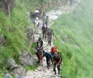 two kailash mansarovar pilgrims fell down from horse.