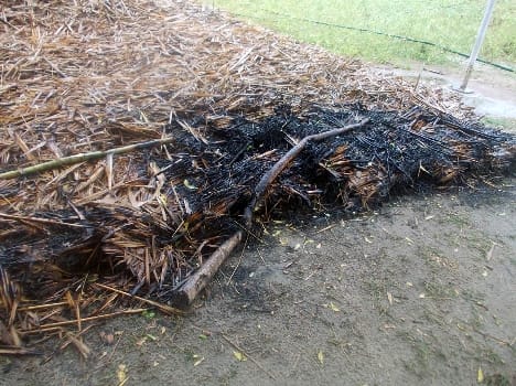 The slight drop in dispute Thatch , then set fire