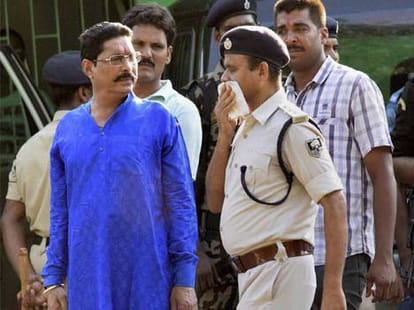 anant singh case