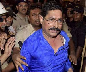 anant singh case