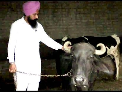 miss tanakpur heroin want to buy a farmer