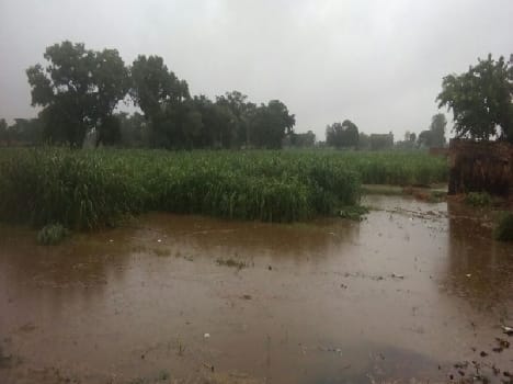 The first rains of the season