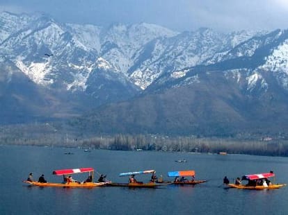 state's first-ever high-density apple orchard inaugurated by cm mufti