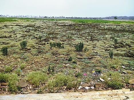 The district is flying dust in ponds
