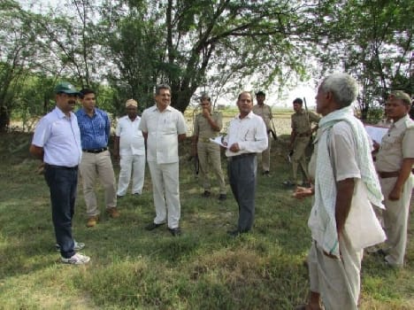 30 per cent were green plants green projects