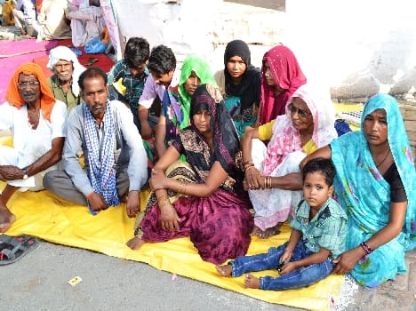 Htyaropion sit perched on the arrest of family
