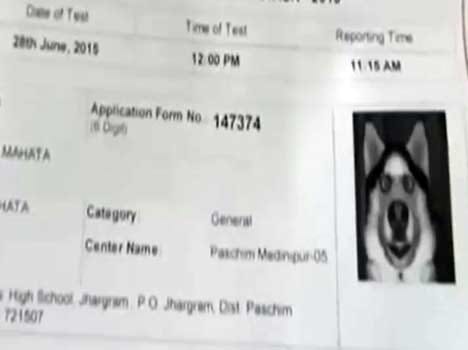ITI enterant's photo replaced by a photo of dog in his admit card 
