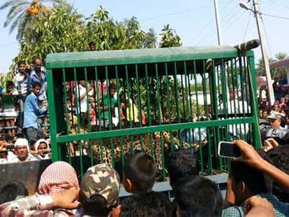 leopard entered house in pilibhit