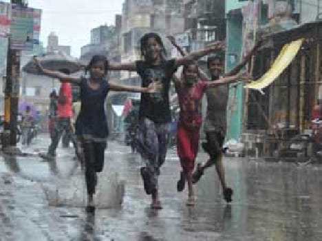 Jmajm farmers face rain rose bloom
