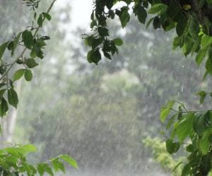 more rain expected in 24hrs