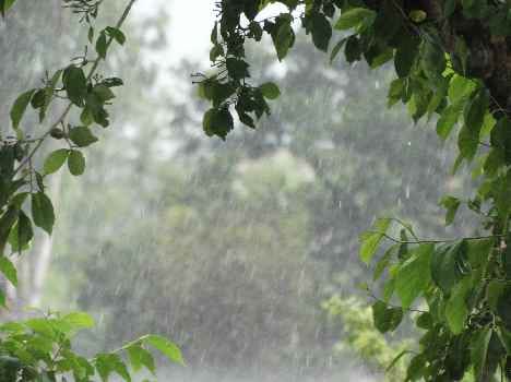 may be rain on 29-30