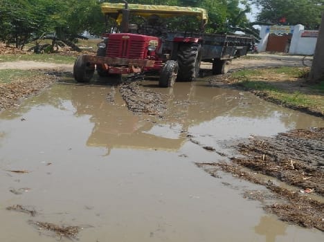 Swamp filled paths difficult to go to school