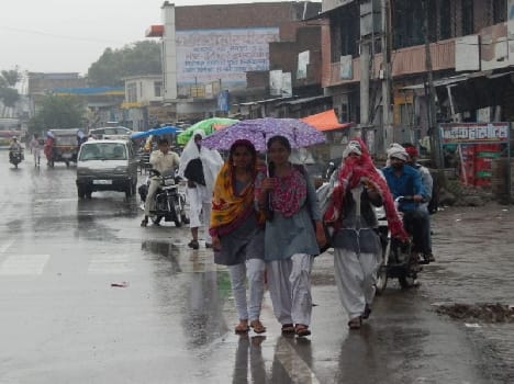 Farmers face rain relief bloom