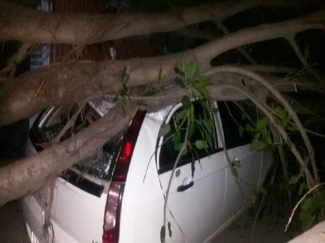 Valmiki colony fell trees, car damaged