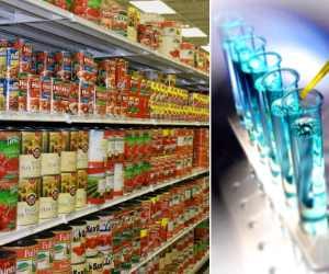 examined of 24 canned food samples, most samples unsafe