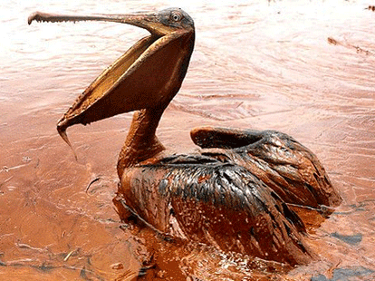 BP to give 18.7 billion dollar as fine