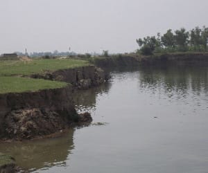 greenery is diminished from gomti river
