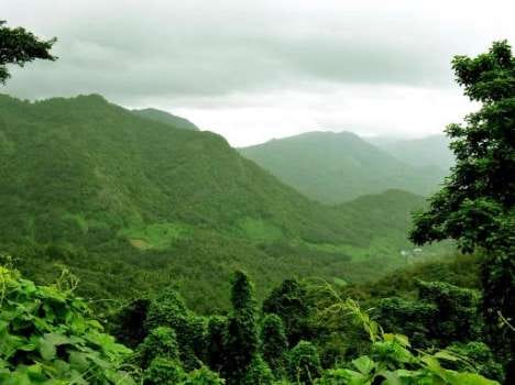 central govt ultimetam on kasturirangan report