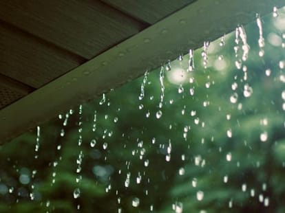 how do you get rid of damp smell