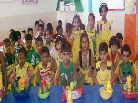 Mango celebrating Lord Krishna's Day