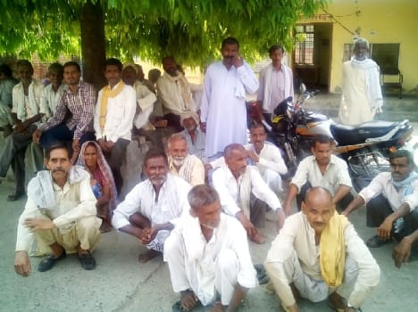 Organically accused High Court granted bail