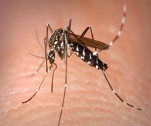 dengue patient found in lucknow