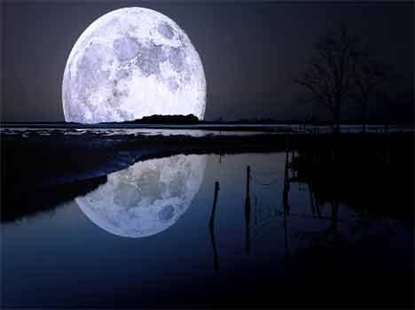 human will stay at moon