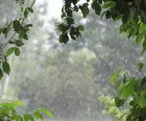 heavy rain alert in uttarakhand.