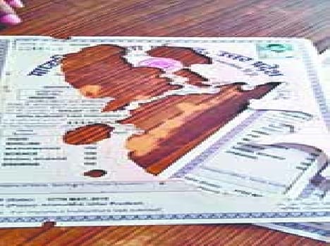 termite spoil marksheets