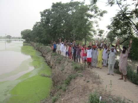 bernala, crop, harigarh, damage