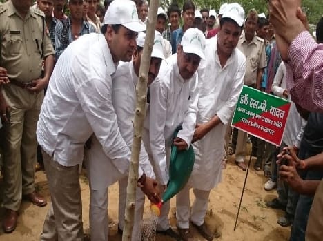 van mahotsav? first day 1000 trees has been planted