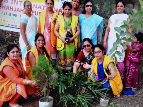 Lions friend planted seedlings in the Kent area