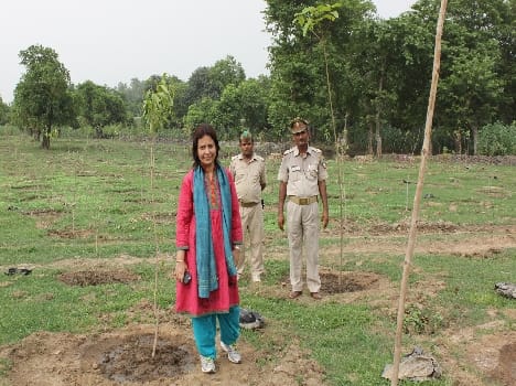 Chief Conservator of Forests angry at the slow pace of plantation