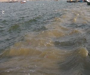 all Tributaries of ganges in namami gange.