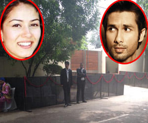 shahid kapoor and meera are now married
