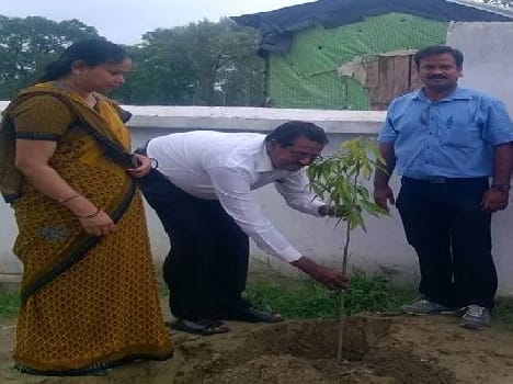 BDO former secondary school planted saplings