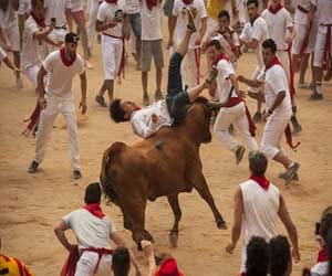 Bull struck again threw the elderly.
