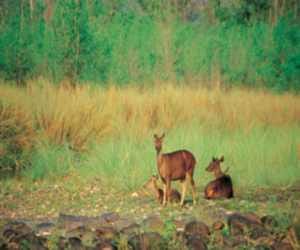 nanda devi national park after 32 year.