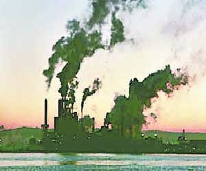 endosulfan case in vuju river