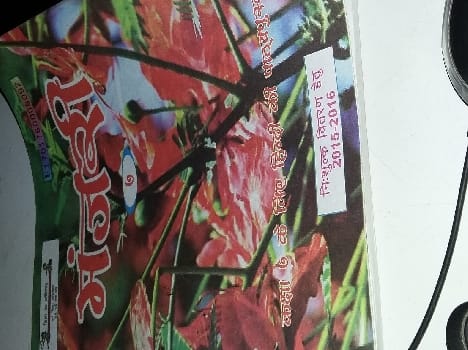Text missing from the book