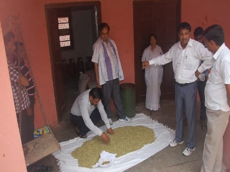 fungus are found in pulses in district hospital