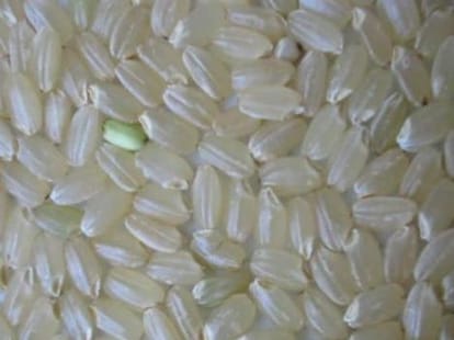 plastic rice will problem for your health