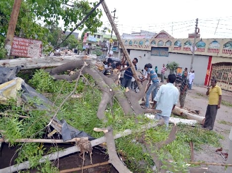 Rain with strong gale in the city looted Tbai