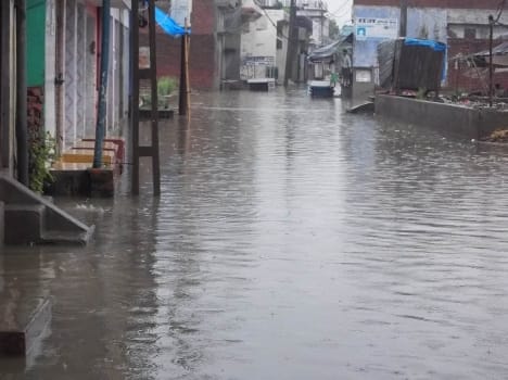 Vigorous life disrupted by rain
