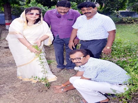 Plants planted in Inter College