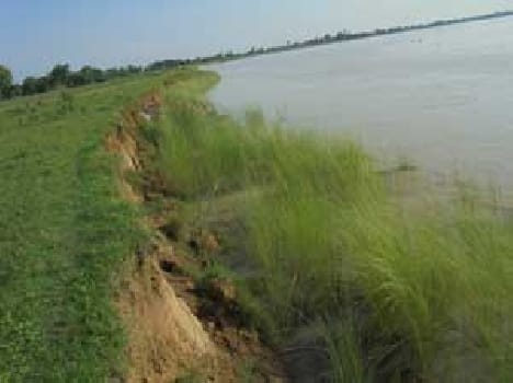 two people and three hundred cattle stranded in flash floods at ravi river