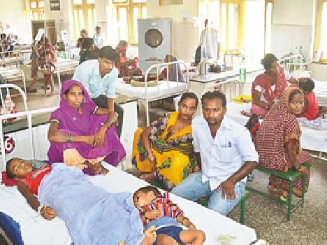 Come rain, diseases brought